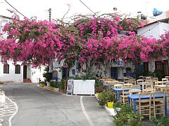 kreta