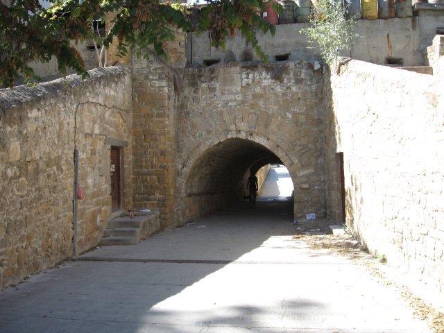 n12.jpg
