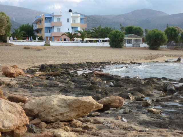 p1010586.jpg