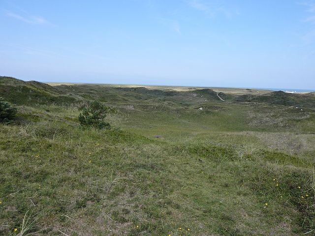 p1030090.jpg