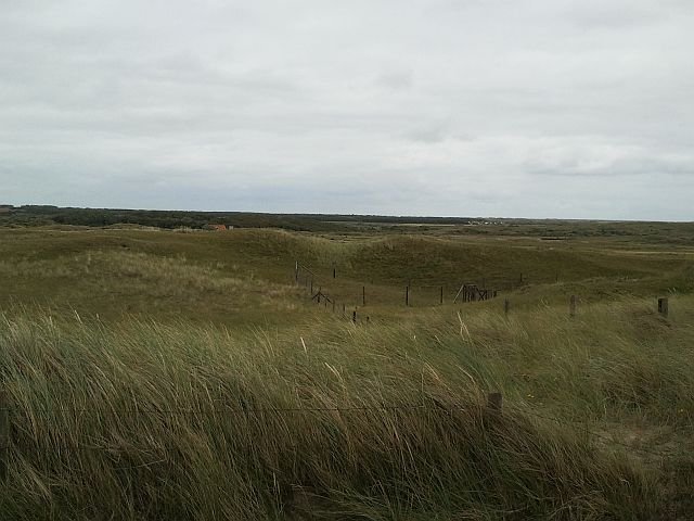 photo2.jpg