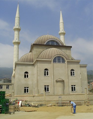 Photograph