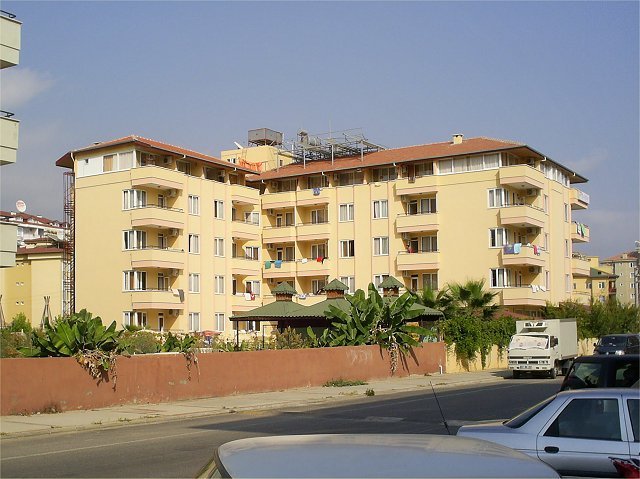 Photograph