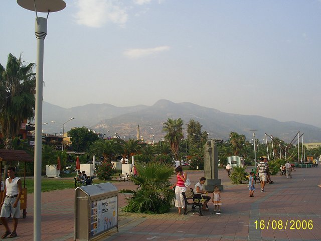 Photograph