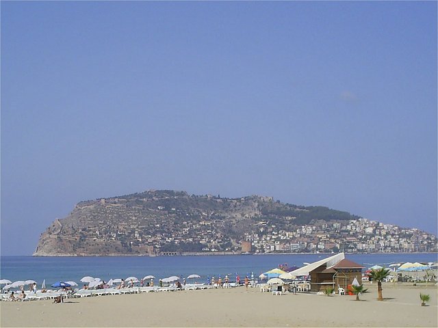 Photograph