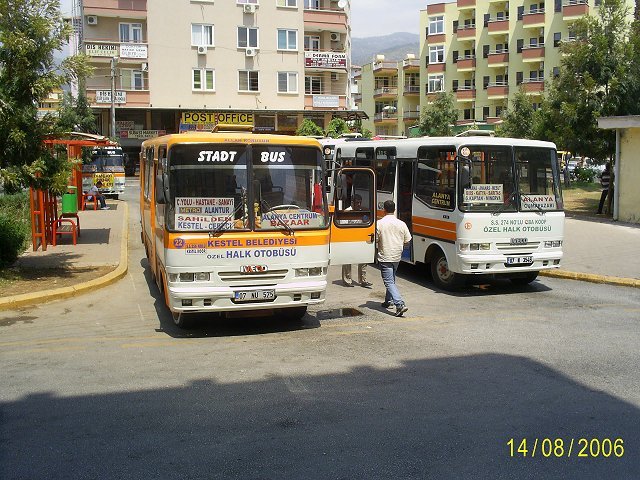 Photograph